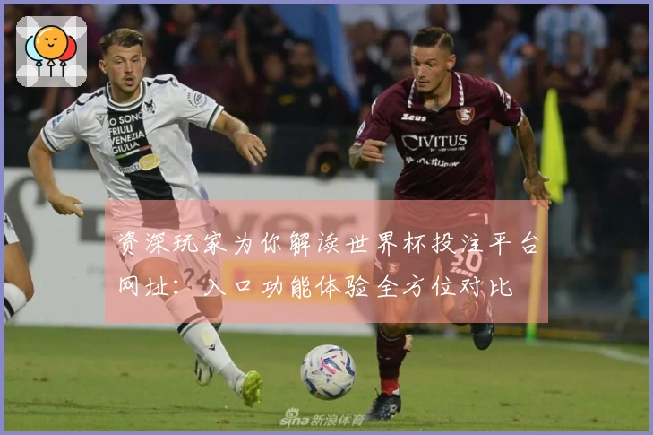 资深玩家为你解读世界杯投注平台网址：入口功能体验全方位对比