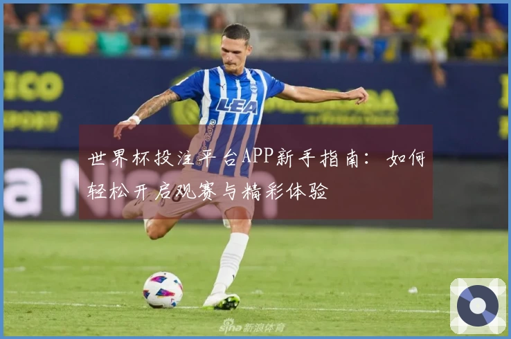 世界杯投注平台APP新手指南：如何轻松开启观赛与精彩体验