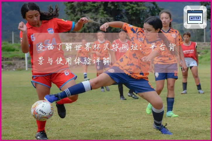 全面了解世界杯买球网址：平台背景与使用体验详解