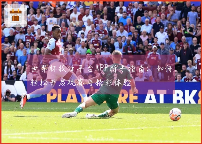 世界杯投注平台APP新手指南：如何轻松开启观赛与精彩体验