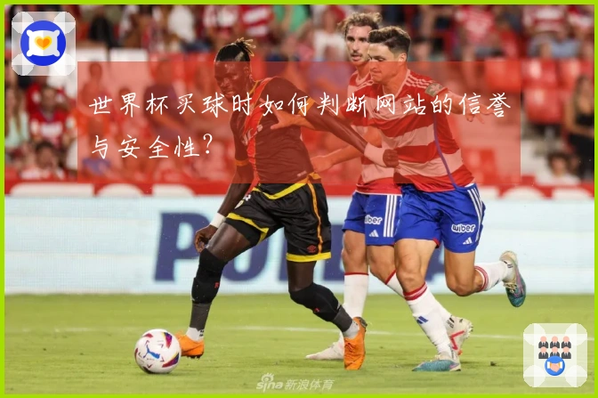 世界杯买球时如何判断网站的信誉与安全性？