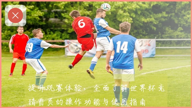 提升观赛体验，全面了解世界杯竞猜首页的操作功能与使用指南