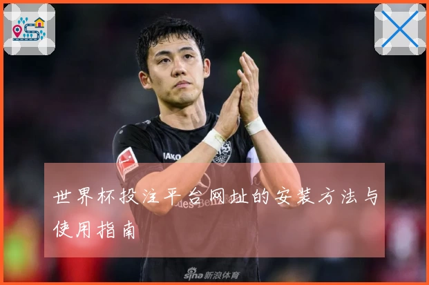 世界杯投注平台网址的安装方法与使用指南