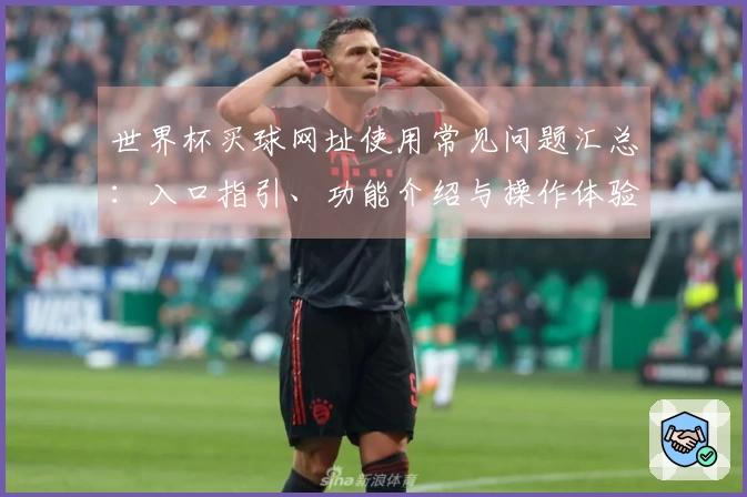 世界杯买球网址使用常见问题汇总：入口指引、功能介绍与操作体验全面解析